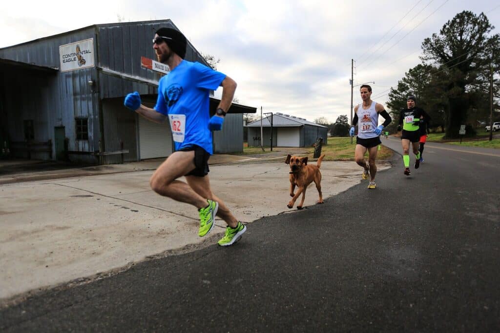 Fenka Ludivine uběhla půlmaraton