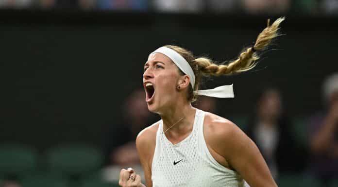 V osudí Wimbledonu zůstala pětice Čechů. Kdo půjde do akce?